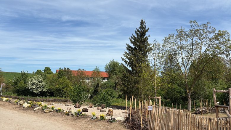 Neugestaltete Teilfläche des Dollesparks