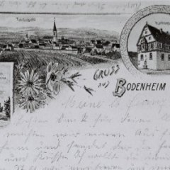 Bodenheim, Gesamtansicht