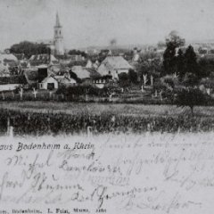 Bodenheim, Gesamtansicht