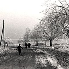 Bahnhofstraße 1946