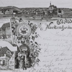 Nackenheim vom Rhein aus gesehen