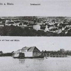 Blick auf Nackenheim und Rheinmühle