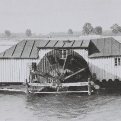 Alte Rheinmühle bei Nackenheim