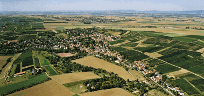 Luftaufnahme von Bodenheim