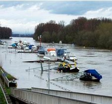 Nackenheimer Hafen