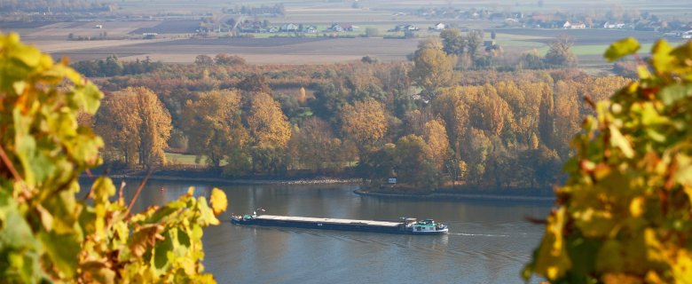 Frachtschiff auf dem Rhein