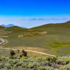 Ancient Bristlecone Pine Forest