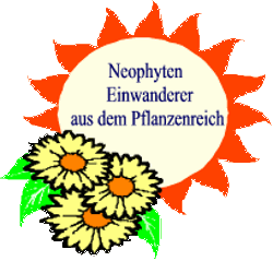 Bildbeschreibung: Logo / Bildnachweis: VG Bodenheim